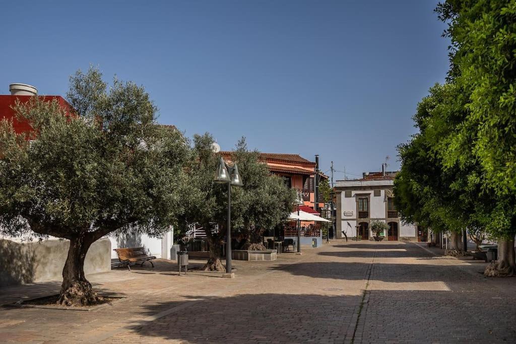 Apartamento En El Casco Historico De San Mateo Vega de San Mateo Exteriér fotografie